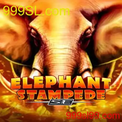 ElephantStampedeSE
